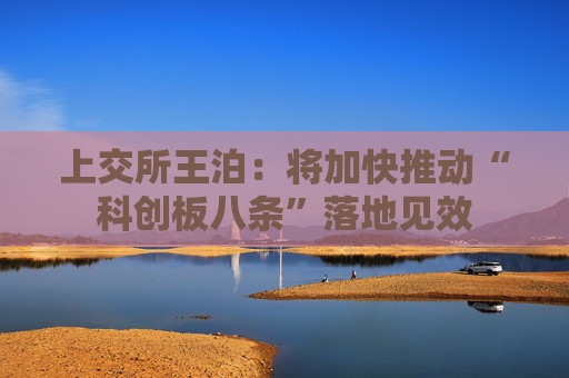 上交所王泊：将加快推动“科创板八条”落地见效