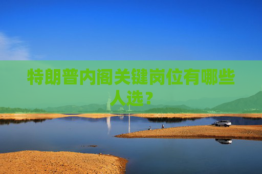 特朗普内阁关键岗位有哪些人选？