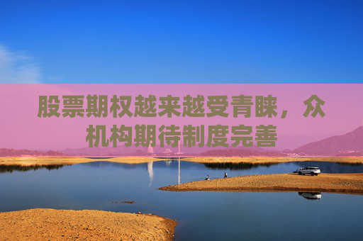 股票期权越来越受青睐，众机构期待制度完善