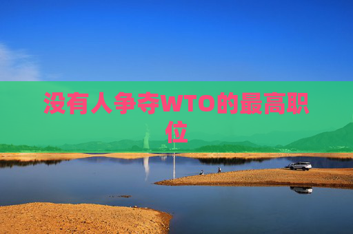 没有人争夺WTO的最高职位