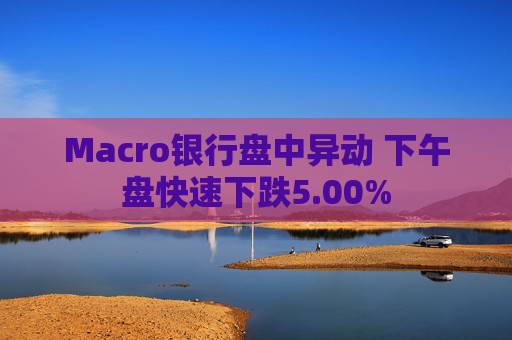 Macro银行盘中异动 下午盘快速下跌5.00%