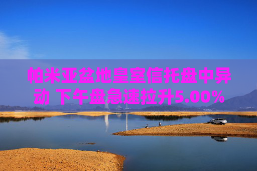 帕米亚盆地皇室信托盘中异动 下午盘急速拉升5.00%