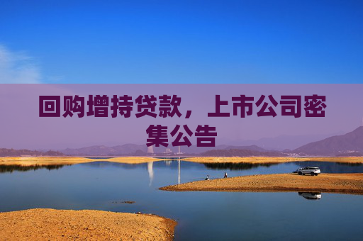 回购增持贷款，上市公司密集公告