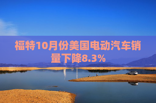 福特10月份美国电动汽车销量下降8.3%