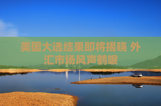 美国大选结果即将揭晓 外汇市场风声鹤唳