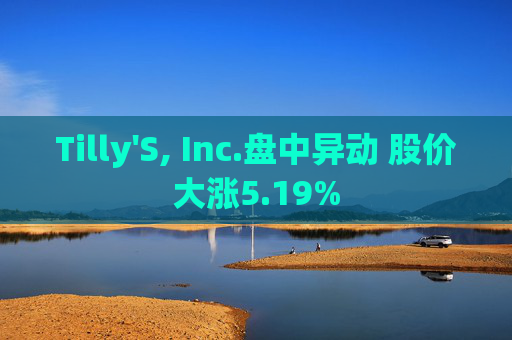 Tilly'S, Inc.盘中异动 股价大涨5.19%