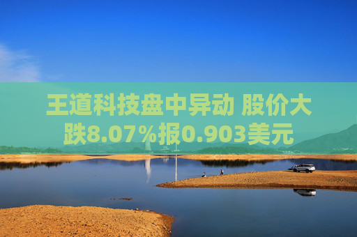 王道科技盘中异动 股价大跌8.07%报0.903美元