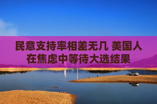 民意支持率相差无几 美国人在焦虑中等待大选结果