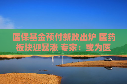 医保基金预付新政出炉 医药板块迎暴涨 专家：或为医疗机构资金周转泄压