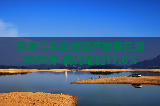 日本今年企业破产数量已超8000家 同比增加17.6%