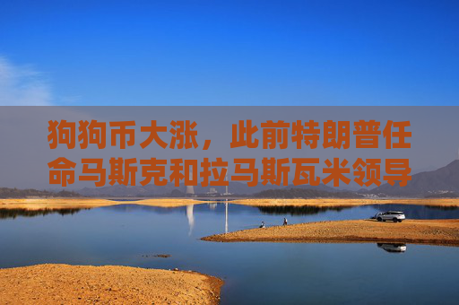 狗狗币大涨，此前特朗普任命马斯克和拉马斯瓦米领导“政府效率部”