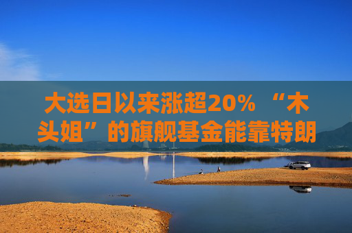 大选日以来涨超20% “木头姐”的旗舰基金能靠特朗普交易翻身吗？