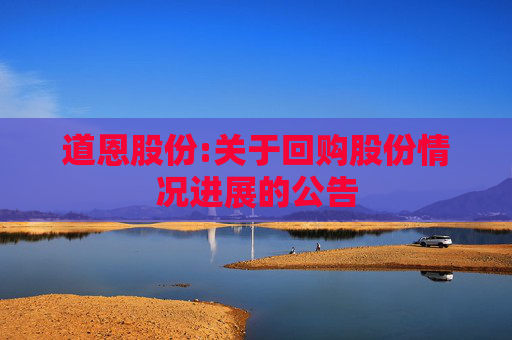 道恩股份:关于回购股份情况进展的公告