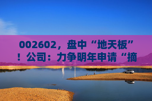 002602，盘中“地天板”！公司：力争明年申请“摘帽”