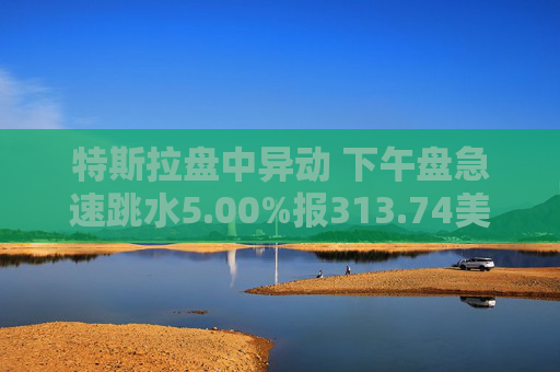 特斯拉盘中异动 下午盘急速跳水5.00%报313.74美元