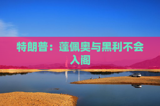 特朗普：蓬佩奥与黑利不会入阁