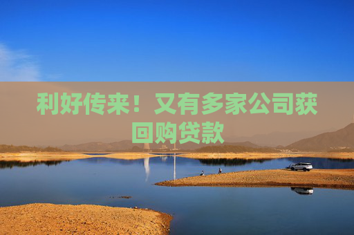 利好传来！又有多家公司获回购贷款