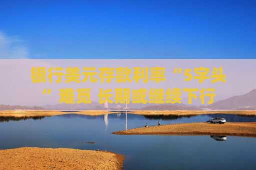 银行美元存款利率“5字头”难觅 长期或继续下行
