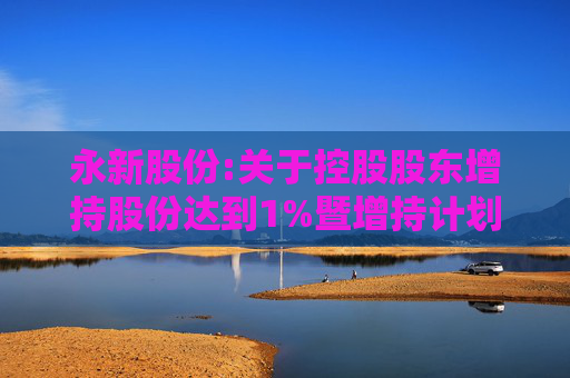 永新股份:关于控股股东增持股份达到1%暨增持计划进展公告