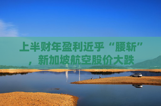 上半财年盈利近乎“腰斩”，新加坡航空股价大跌