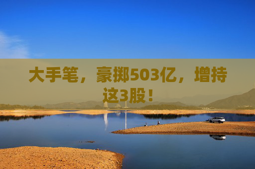 大手笔，豪掷503亿，增持这3股！