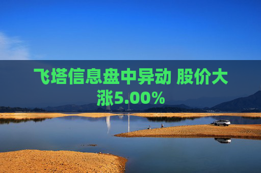 飞塔信息盘中异动 股价大涨5.00%