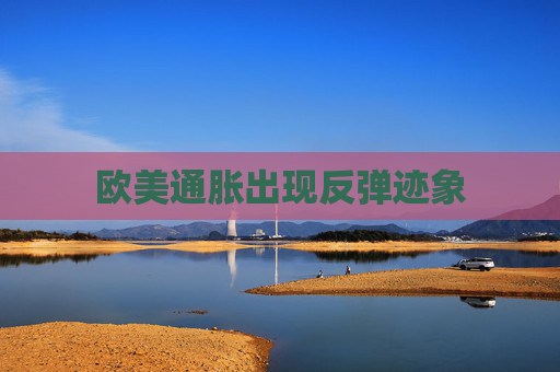 欧美通胀出现反弹迹象