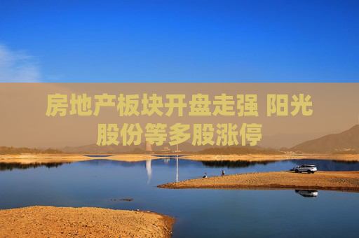 房地产板块开盘走强 阳光股份等多股涨停
