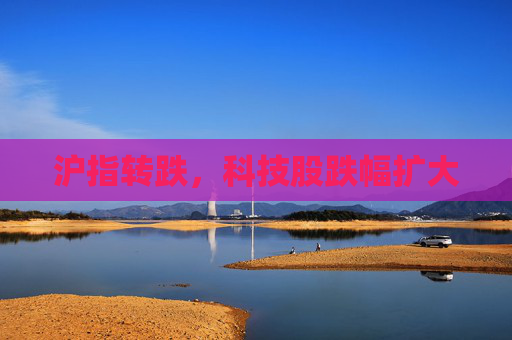 沪指转跌，科技股跌幅扩大