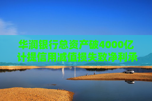 华润银行总资产破4000亿 计提信用减值损失致净利承压