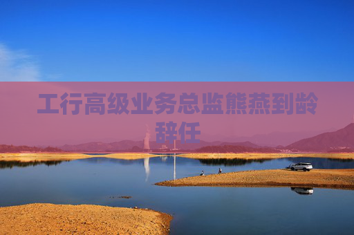工行高级业务总监熊燕到龄辞任