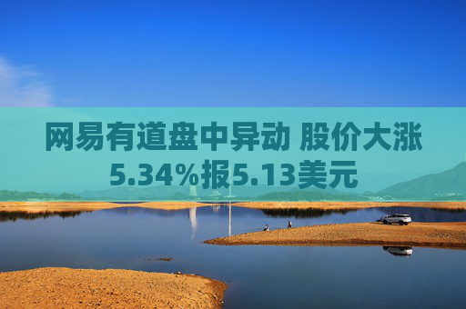 网易有道盘中异动 股价大涨5.34%报5.13美元
