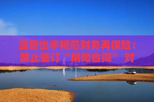 监管出手规范财务再保险：禁止签订“阴阳合同” 对资本补充“困难户”给予3年过渡期