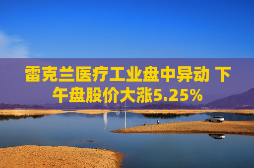雷克兰医疗工业盘中异动 下午盘股价大涨5.25%