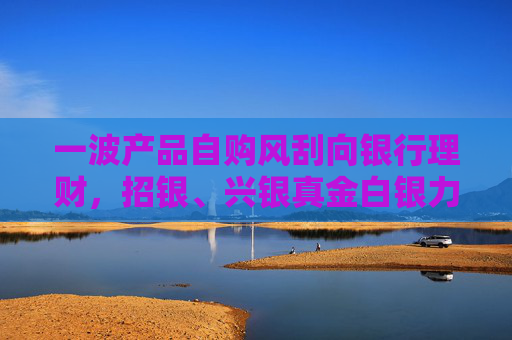 一波产品自购风刮向银行理财，招银、兴银真金白银力挺自家含权产品，传递“潜在低点”信号？