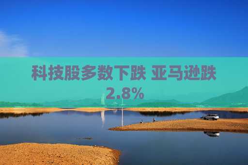 科技股多数下跌 亚马逊跌2.8%