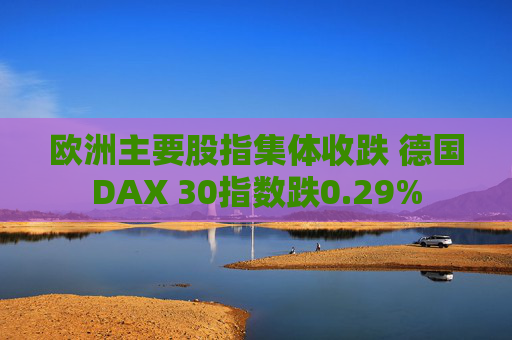 欧洲主要股指集体收跌 德国DAX 30指数跌0.29%