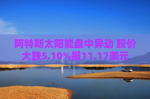 阿特斯太阳能盘中异动 股价大跌5.10%报11.17美元