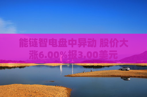 能链智电盘中异动 股价大涨6.00%报3.00美元