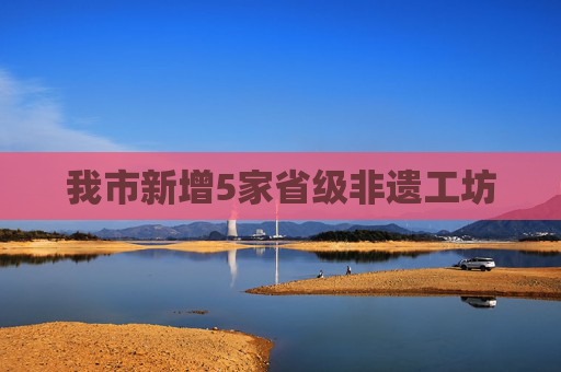我市新增5家省级非遗工坊