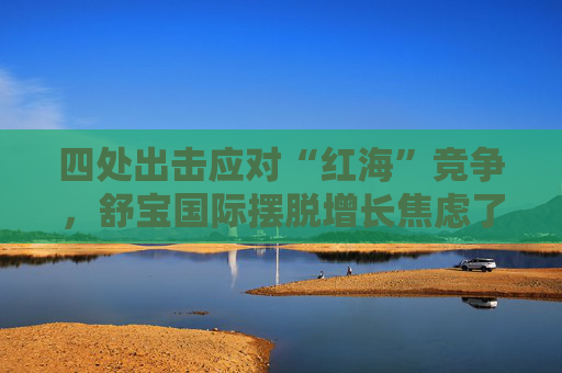 四处出击应对“红海”竞争，舒宝国际摆脱增长焦虑了？