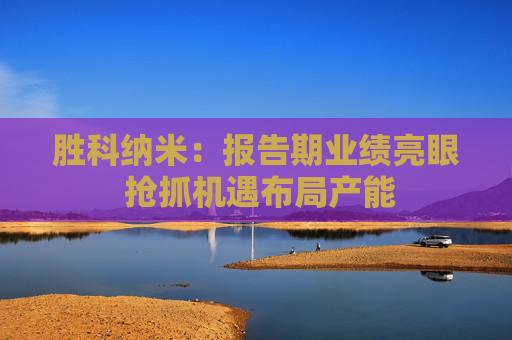 胜科纳米：报告期业绩亮眼 抢抓机遇布局产能