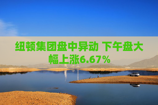 纽顿集团盘中异动 下午盘大幅上涨6.67%