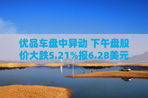 优品车盘中异动 下午盘股价大跌5.21%报6.28美元