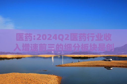 医药:2024Q2医药行业收入增速前三的细分板块是创新药、血制品和科研服务