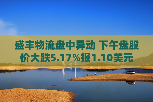 盛丰物流盘中异动 下午盘股价大跌5.17%报1.10美元