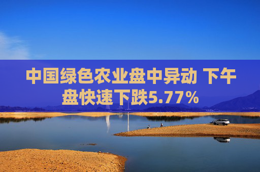 中国绿色农业盘中异动 下午盘快速下跌5.77%