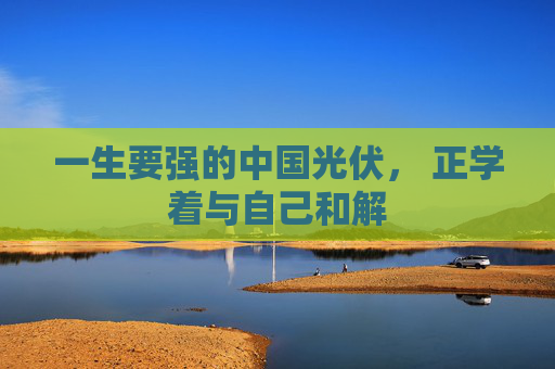一生要强的中国光伏， 正学着与自己和解