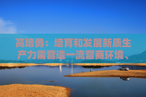 高培勇：培育和发展新质生产力需营造一流营商环境、稳定企业预期