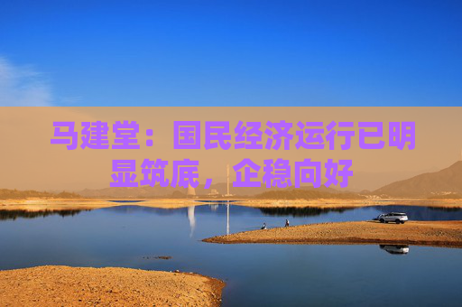 马建堂：国民经济运行已明显筑底，企稳向好